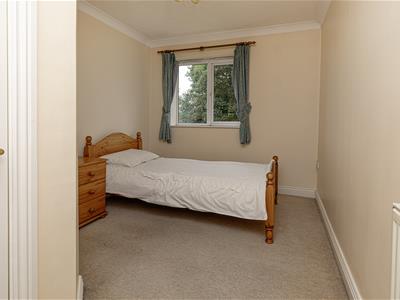 Picture 15